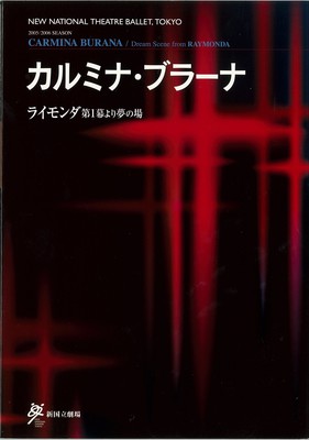 2005/2006シーズン 新国立劇場バレエ公演 平成17年度(第60回記念)文化庁芸術祭主催公演 カルミナ・ブラーナ 『ライモンダ』第1幕より夢の場